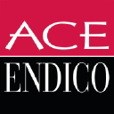 Ace Endico logo