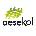 AESEKOL SL logo