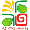 AGRICOLA ANDREA S.A.C. logo