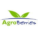 Agro Berries logo