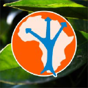 Alliance Fruit logo