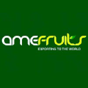 AMEFRUITS SL logo