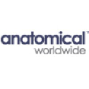 ANATOMICAL WORLDWIDE LLC logo