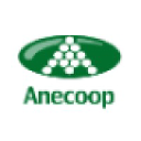 Anecoop logo