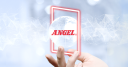 Angel Playing Cards logo