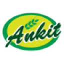 ANKIT  INDIA logo