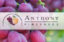 Anthony Vineyards logo