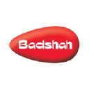 Badshah Masala logo