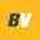 bao toan logo