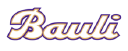 BAULI SPA logo