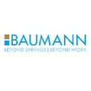 Baumann Springs logo