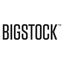 Big Stock logo