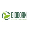 Bioborn Packaging logo