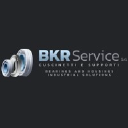 BKR Service Srl logo