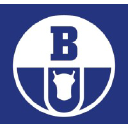 Boryszew logo