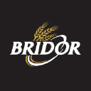 SAS BRIDOR logo