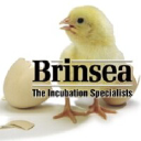 Brinsea logo