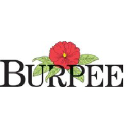 Burpee logo