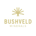 Bushveld Vanchem logo