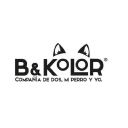 B Kolor logo