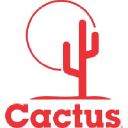 CACTUS WELLHEAD, LLC logo