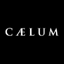 Caelum logo