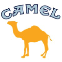 Camel logo