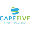 Cape Five logo