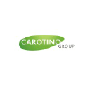 Carotino logo