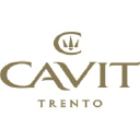 CAVIT logo