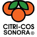 CITRISON SA de CV logo