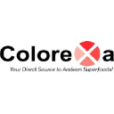 COLOREXA USA CORP - logo