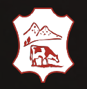 CONCERIA CADORE SRL logo