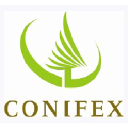 Conifex logo