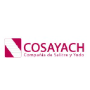 Cosayach logo