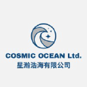 Cosmic Ocean logo