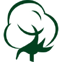 Cotton Web Limited logo