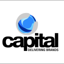 CAPITAL VENTURES PVT LIMITED logo