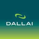 Dallai logo