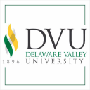 Delaware Valley logo