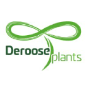 DEROOSE PLANTS, INC. logo