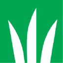 DLF Seeds logo