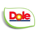 DOLE CHILE SA logo