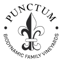 DOMINIO DE PUNCTUM logo