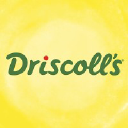 Driscoll Foods logo