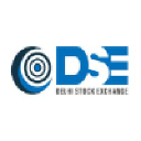 DSE  INC logo