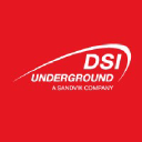 DSI Underground logo