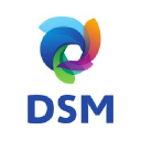 DSM FOOD SPECIALTIES logo