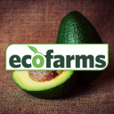 ECO FARMS TRADING OPERATION LLC logo