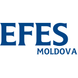 Efes Vitanta logo